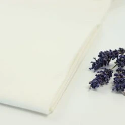 Bio Jersey Stoff Uni Ecru